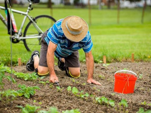 Parcs et jardins Salaberry-de-Valleyfield